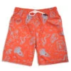 Guys Lacrosse Swim Trunks - Iconic 1 Guys Lacrosse Swim Trunks - Iconic -Sport Gift Store lx 12956 FRONT