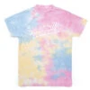 Pickleball Short Sleeve T-Shirt - Kind Of A Big Dill Tie-Dye -Sport Gift Store pb 00064 SHERBET MAIN