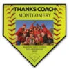 Softball Home Plate Plaque - Thank You Coach Photo -Sport Gift Store sb 03573 YELLOW