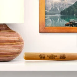 Engraved Mini Softball Bat - Team Name With Roster -Sport Gift Store sb 03958 10NAMES SHELF